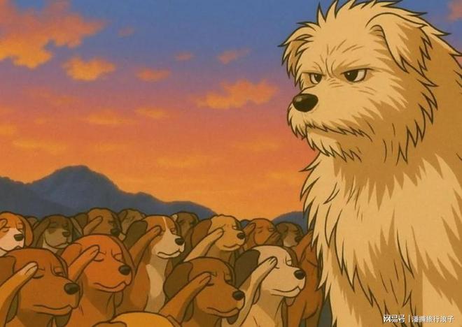 爆火！身价飙升至10万美元狗主人被扒pg电子平台贵州下司犬“查理国王”(图3)