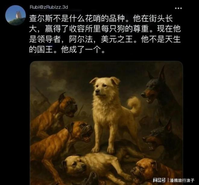 爆火！身价飙升至10万美元狗主人被扒pg电子平台贵州下司犬“查理国王”(图17)
