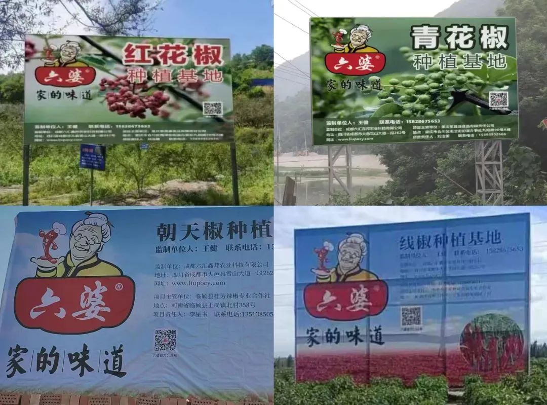 过8亿袋一包辣椒面如何成为万能蘸料pg模
